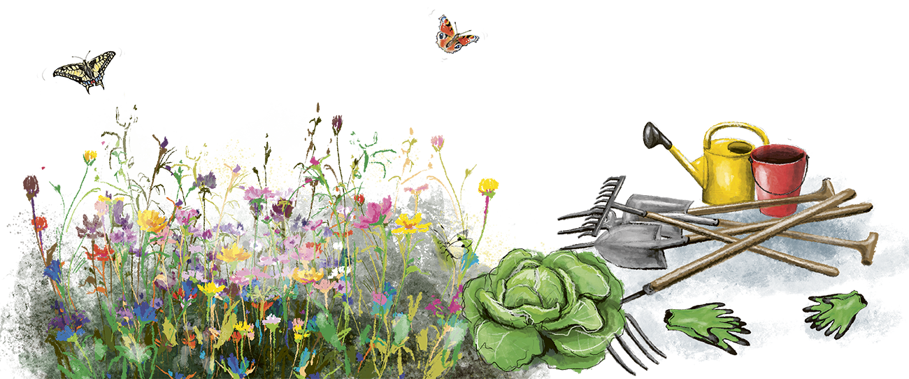 Illustration mit Blumen, Schmetterlingen, Kohl und Gartenger&auml;ten